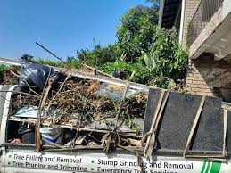 Best Same-Day Junk Removal Services  in Ashdown, AR