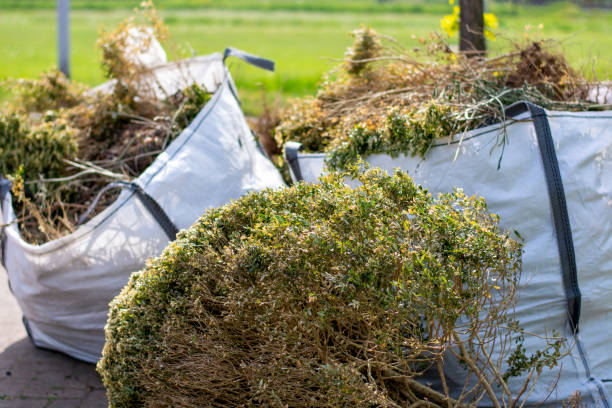 Best Construction Debris Removal  in Ashdown, AR